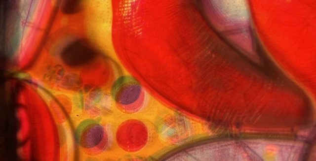Color and circular forms