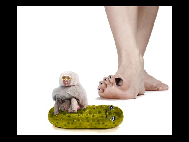 Figure, foot and pickle
