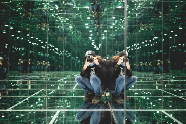 Goose Cube Experience