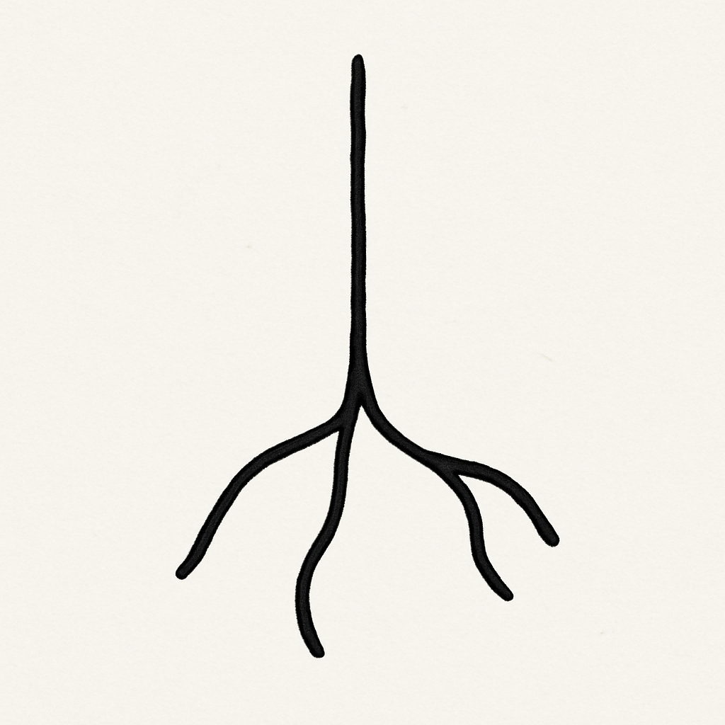 House of the Ground
